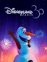 Billet Super Mini - Disneyland Billet Super Mini - Disneyland