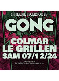Gong universal ascension 24