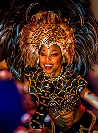 Cirque phenix