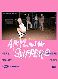 Amyl & the sniffers