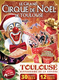 Cirque de noel de toulouse