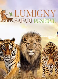 Lumigny safari reserve