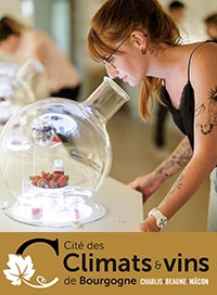 Cite des climats et vins de bourgogne