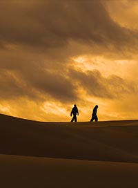 Scylla & furax barbarossa