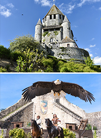 Pass provins + les aigles des remparts