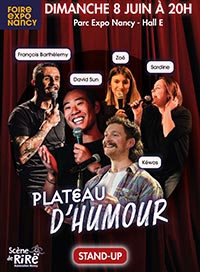 Plateau d'humour - stand up