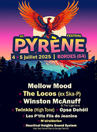 Pyrene festival - 2 jours