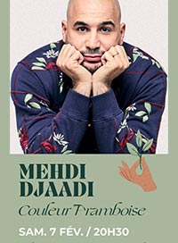Mehdi djaadi