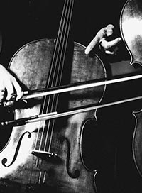 Il pleut des cordes