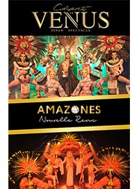 Dejeuner spectacle - 12h00