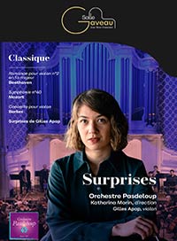 affiche spectacle Surprises