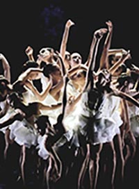 Ballet preljocaj : le lac des cygnes