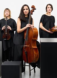 Quatuor zaïde
