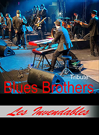 Les invendables tribute blues brothers