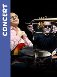 Bireli lagrene quartet