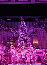Don pasquale