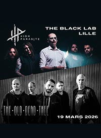 High parasite + the old dead tree