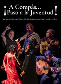 Noche de arte flamenco