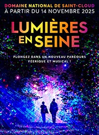 Lumières en seine - billet open
