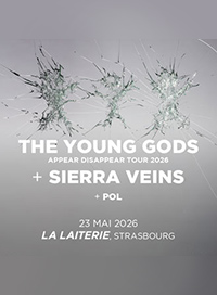 The young gods + sierra veins