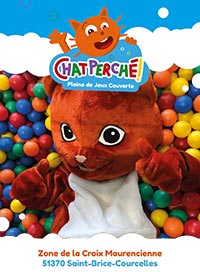 Chat perché