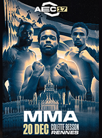 Aec mma rennes