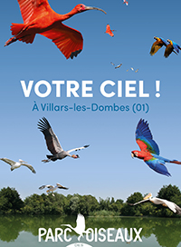 Parc des oiseaux - entree 1 jour - promo