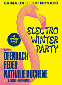Electro winter party 2026