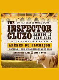 The inspector cluzo