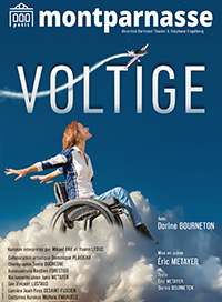 Voltige