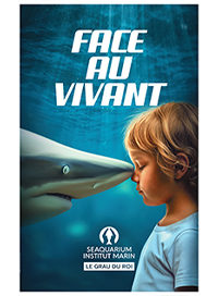 Seaquarium - promotion