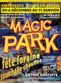 Magic park