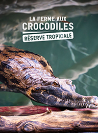 La ferme aux crocodiles - basse saison