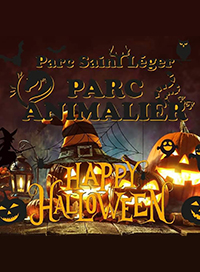 Parc saint leger - parc animalier