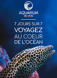 Aquarium de lyon