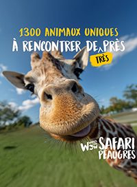 Wow safari peaugres - liberté
