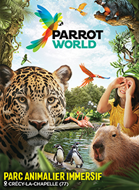 Parrot world