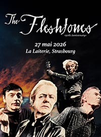 The fleshtones