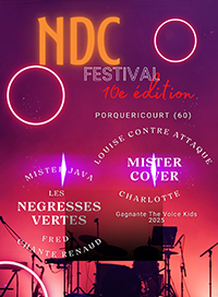 10e ndc festival - pass 2 jours
