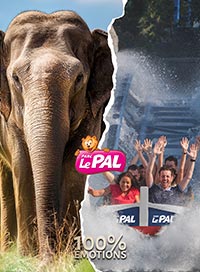 Le pal - promotion