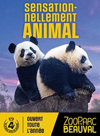 Zooparc de beauval - non date