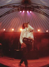 Tribute the doors