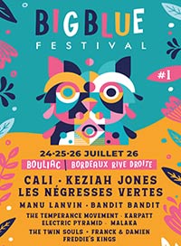 Big blue festival - pass 2 jours