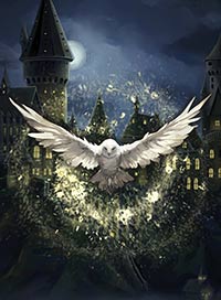 La symphonie magique de poudlard