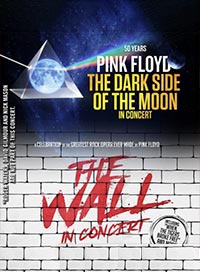 The wall & the dark side of the moon