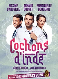 Cochons d'inde