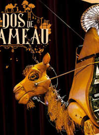 A dos de chameau