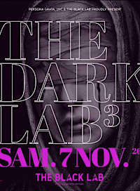 The dark lab 3