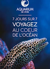 Aquarium de lyon - promotion