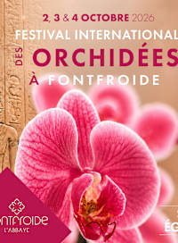 Orchidées à fontfroide